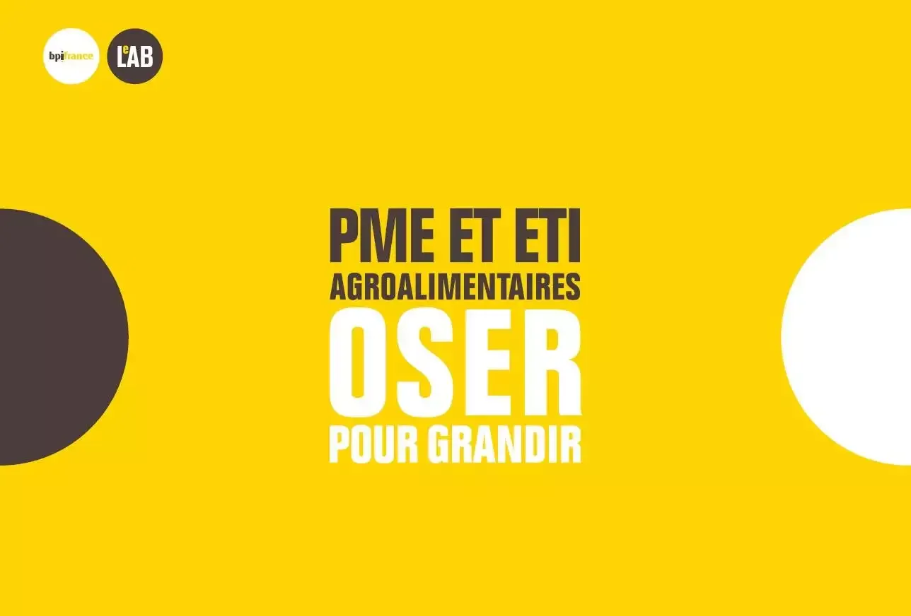 Bpifrance PME ETI AA / Katalyse cabinet conseil en stratégie