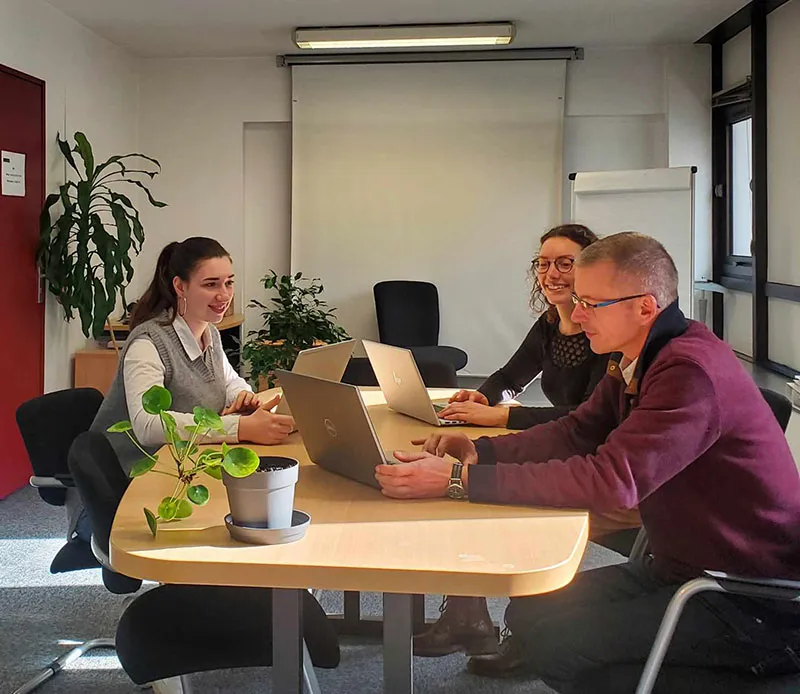 Description alternative